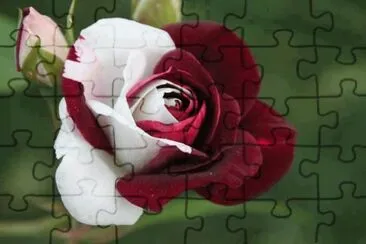 *] jigsaw puzzle
