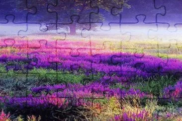 * jigsaw puzzle