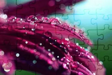 * jigsaw puzzle