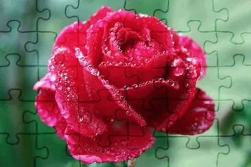 * jigsaw puzzle