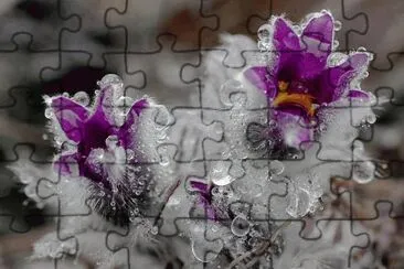 * jigsaw puzzle