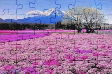 * jigsaw puzzle