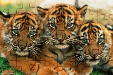 . jigsaw puzzle