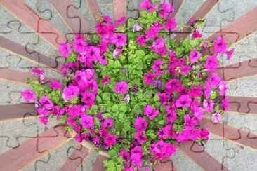Flors jigsaw puzzle