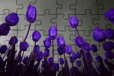 Tulips Under Gray Sky jigsaw puzzle