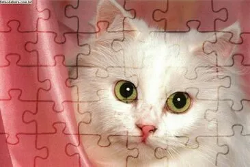 פאזל של gato_40