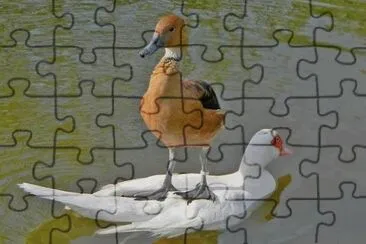 Hitching a Ride jigsaw puzzle