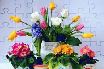 image jigsaw puzzle