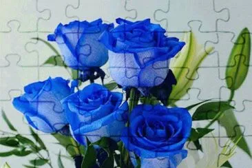 r jigsaw puzzle