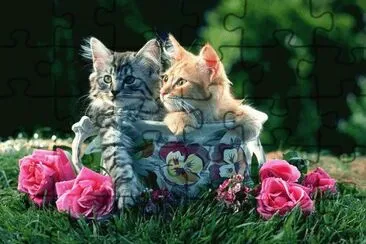 g jigsaw puzzle