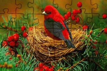 passaro jigsaw puzzle
