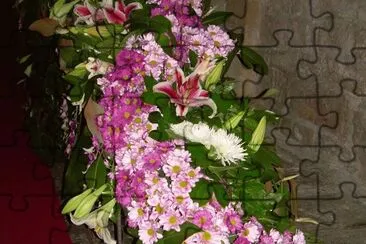 Temps de flors 2010