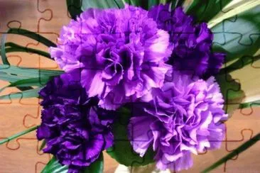 פאזל של Vibrant Purple Carnations