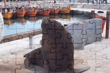FaraÃ³n jigsaw puzzle