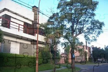 FaraÃ³n