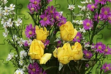 foto jigsaw puzzle
