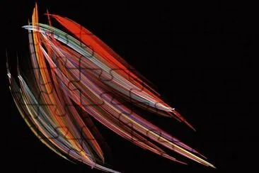 פאזל של marine diatoms