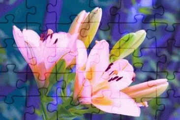 image jigsaw puzzle