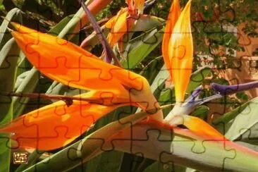 Au del Paradis jigsaw puzzle