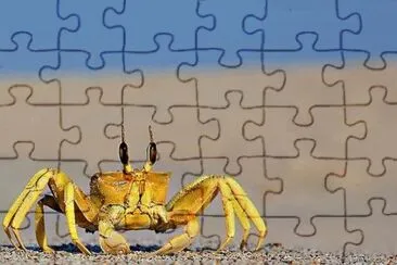 CANGREJO jigsaw puzzle