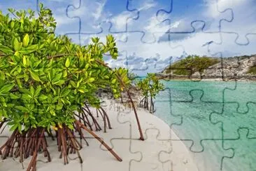 פאזל של paisaje 14