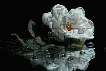 â™¥â™¥ jigsaw puzzle