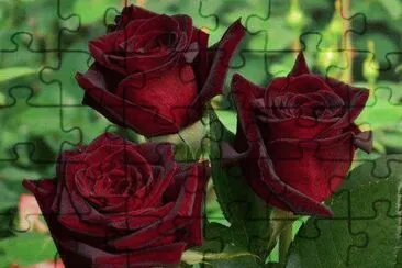 â€¢â˜»â€¢ jigsaw puzzle