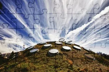 The Living Roof-Ca Academy of Sciences jigsaw puzzle