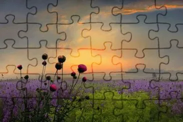 wild flowers jigsaw puzzle