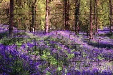 meadow jigsaw puzzle