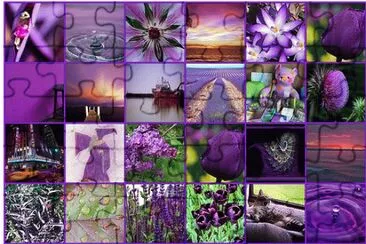 Everything Purple Collage