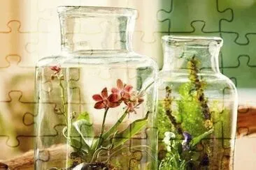 flores