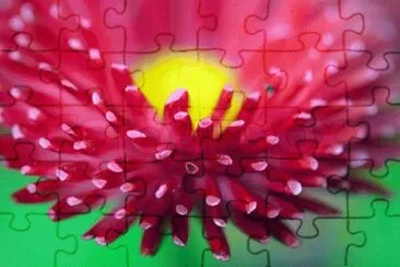 image jigsaw puzzle