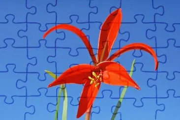 foto jigsaw puzzle