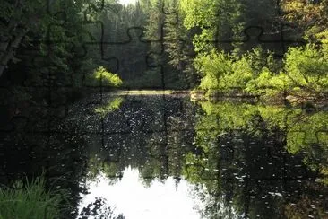 Black River NB