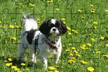 Outstanding in his field jigsaw puzzle