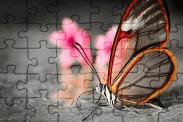 ImÃ genes jigsaw puzzle