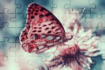 ImÃ genes jigsaw puzzle