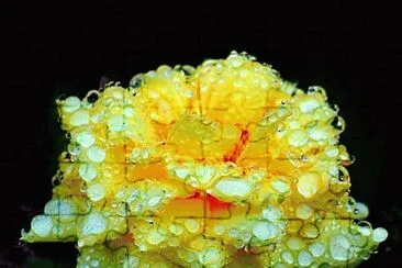ImÃ genes jigsaw puzzle