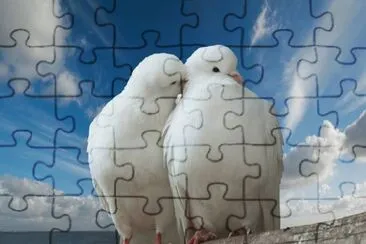 Palomas blancas
