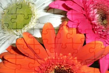 flores_coloridas_bonitas_225827f5e8a71a230fa431804 jigsaw puzzle