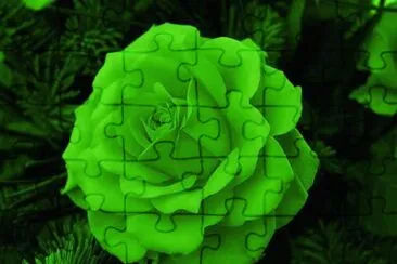 . jigsaw puzzle