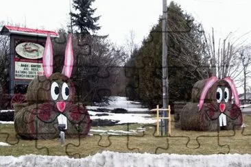 bunny jigsaw puzzle