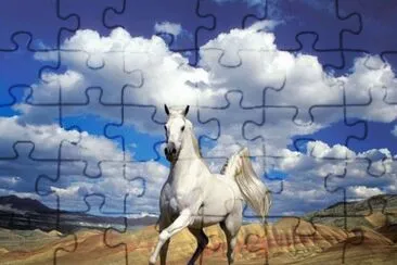 b jigsaw puzzle