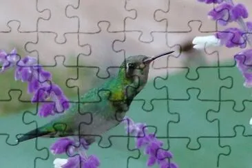 ColibrÃ­