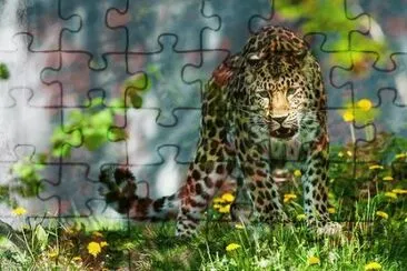 . jigsaw puzzle