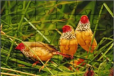 . jigsaw puzzle