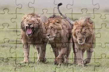 . jigsaw puzzle