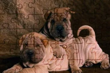 . jigsaw puzzle