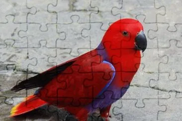 . jigsaw puzzle